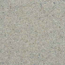 Abingdon Carpet Wilton Royal Charter Berber Deluxe Dapple 