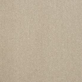 Abingdon Carpet Stainfree Captivation Moon Cloud - Lowest Online Prices
