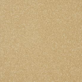 Abingdon Carpets Stainfree Twist Mocha Abingdon Carpets Stainfree Twist Mocha