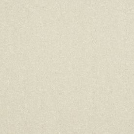 Abingdon Carpets Stainfree Ultra White Whisper Abingdon Carpets Stainfree Ultra White Whisper