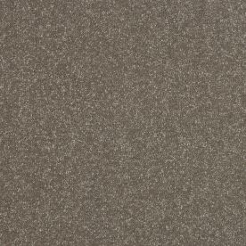 Abingdon Carpets Stainfree Ultra Dolomite