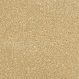 Abingdon Carpets Stainfree Ultra Hampton