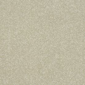 Abingdon Carpets Stainfree Maximus Dove