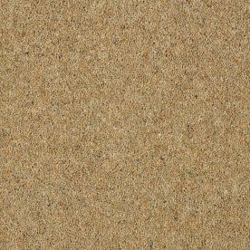 Abingdon Carpet Wilton Royal Charter Berber Deluxe Mustard 