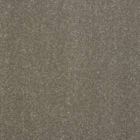 Abingdon Carpet Stainfree Captivation Seneca Rock