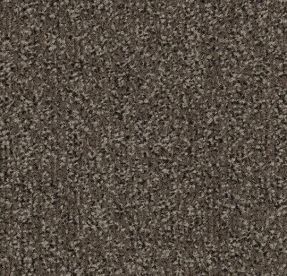 Forbo Entrance Coral Classic Tile Taupe 4764 Forbo Entrance Coral Classic Tile Taupe 4764