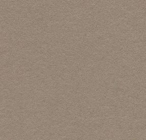Forbo Marmoleum Bulletin Board Mushroom Medley 2208 Forbo Marmoleum Bulletin Board Mushroom Medley 2208