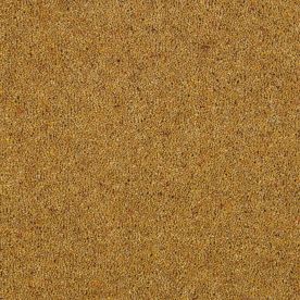 Abingdon Carpet Wilton Royal Charter Berber Deluxe Mustard 