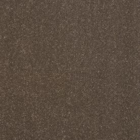 Abingdon Carpet Stainfree Captivation Pentland