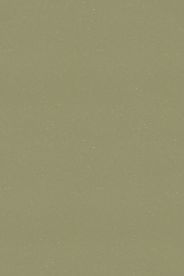 Forbo Safety Safestep R11 Umber 174262