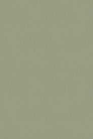 Reef Green 180662 Reef Green 180662