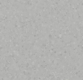 Forbo Sphera Homogeneous Element Mid Neutral Grey 50004 Forbo Sphera Homogeneous Element Mid Neutral Grey 50004