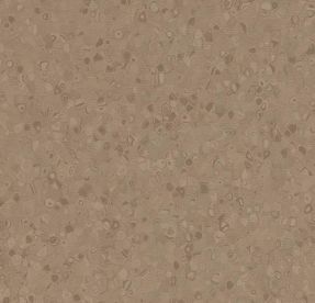 Forbo Sphera Homogeneous Element Earth 50025 Forbo Sphera Homogeneous Element Earth 50025