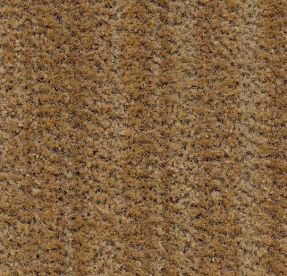 Forbo Entrance Coral Brush Straw Brown 5754 2.05m sheet Forbo Entrance Coral Brush Straw Brown 5754 2.05m sheet