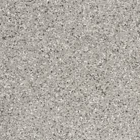 Carbon 0249 Carbon 0249