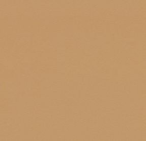 Leather 4002