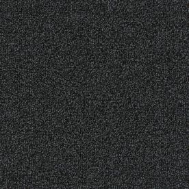 4200002 Anthrazite