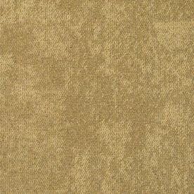 Interface CE100 Search 4314022