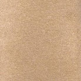 JHS Hospi Charm Gel Back Carpet Almond 71