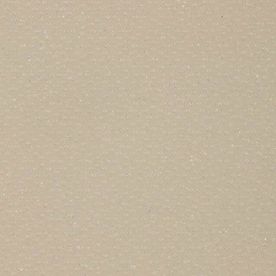 Altro Marine Safety Flooring Reef T20801 Altro Marine Safety Flooring Reef T20801