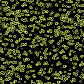 Forbo Flotex Sottsass Carpet Bacteria 990102