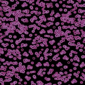 Forbo Flotex Sottsass Carpet Bacteria 990102 Forbo Flotex Sottsass Carpet Bacteria 990102