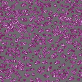 Forbo Flotex Sottsass Carpet Bacteria 990102 Forbo Flotex Sottsass Carpet Bacteria 990102