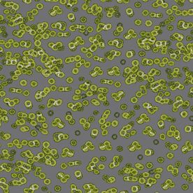 Forbo Flotex Sottsass Carpet Bacteria 990102