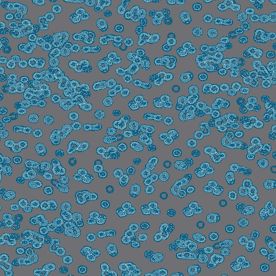 Forbo Flotex Sottsass Carpet Bacteria 990102
