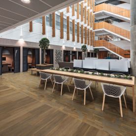Polyflor Expona Design Mango Oak 9042 Polyflor Expona Design Mango Oak 9042