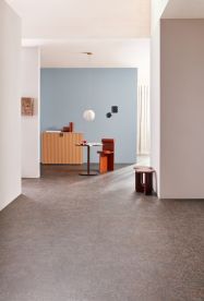 Canyon Cement 63636PZ7 Canyon Cement 63636PZ7