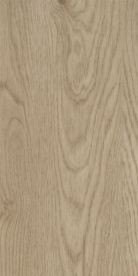 Whitewash Elegant Oak 60064CF5