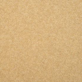 Penthouse Carpets Esprit Nouveau Altair 50oz Penthouse Carpets Esprit Nouveau Altair 50oz