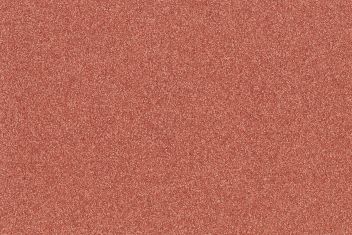 Altro Pisces Starfish SB2010