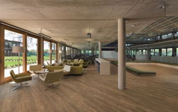 Polyflor Expona Commercial Amber Classic Oak 4087