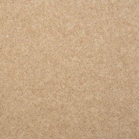 Penthouse Carpets Esprit Nouveau Andromeda 60oz Penthouse Carpets Esprit Nouveau Andromeda 60oz