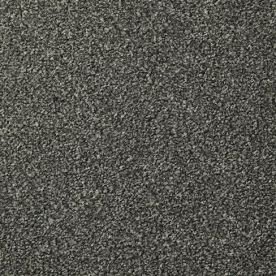 Cormar Carpet Co Apollo Plus Nigella Cormar Carpet Co Apollo Plus Nigella