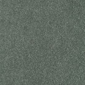 Penthouse Carpets Wentworth Ashbury 40oz Penthouse Carpets Wentworth Ashbury 40oz