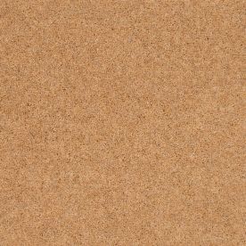 Penthouse Carpets Vermont Austin 50oz Penthouse Carpets Vermont Austin 50oz