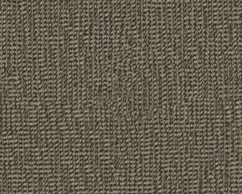 Crucial Trading Tweed Barley TW111