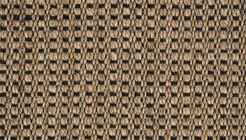 Crucial Trading Panama New Champagne Black E221