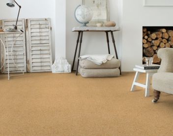 Brockway Carpets Dimensions Berbers Chesil Beach Brockway Carpets Dimensions Berbers Chesil Beach