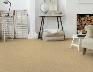 Brockway Carpet Beachcomber Barnacle Brockway Carpet Beachcomber Barnacle