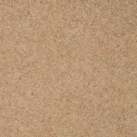 Penthouse Carpets Vermont Baltimore 40oz Penthouse Carpets Vermont Baltimore 40oz