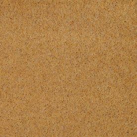 Penthouse Carpets Pentwist Colours Buttercup 40oz Penthouse Carpets Pentwist Colours Buttercup 40oz