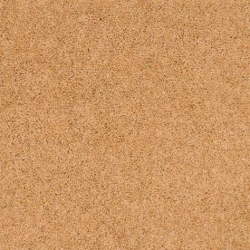 Penthouse Carpets Pentwist Naturals Canvas 50oz Penthouse Carpets Pentwist Naturals Canvas 50oz