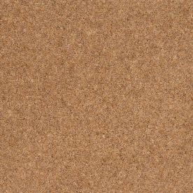 Penthouse Carpets Vermont Carson 40oz Penthouse Carpets Vermont Carson 40oz