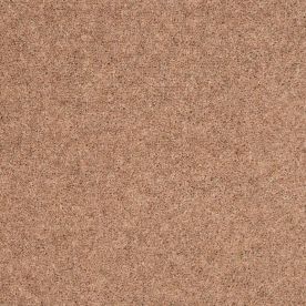 Penthouse Carpets Shoreline Castaway 40oz Penthouse Carpets Shoreline Castaway 40oz