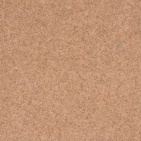 Penthouse Carpets Pentwist Naturals Champagne 40oz Penthouse Carpets Pentwist Naturals Champagne 40oz