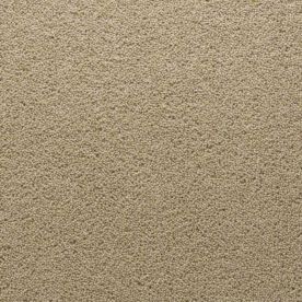 Penthouse Carpets Stateside Chicago 50oz